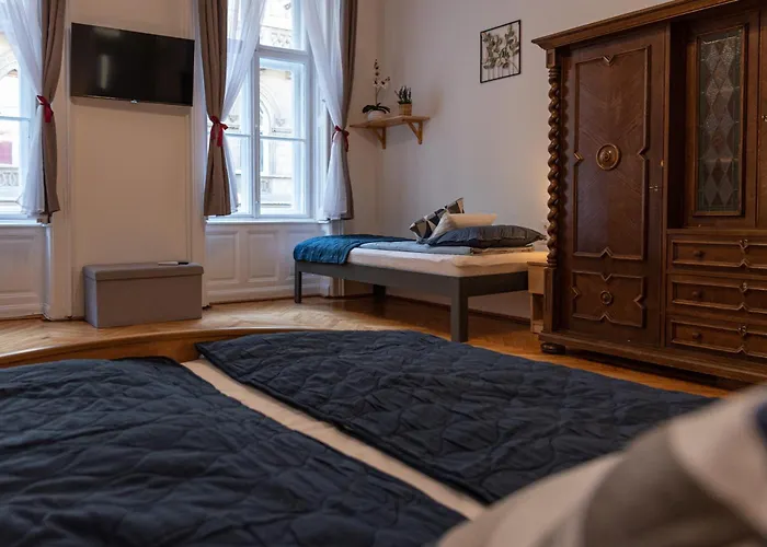 Viol Budapest