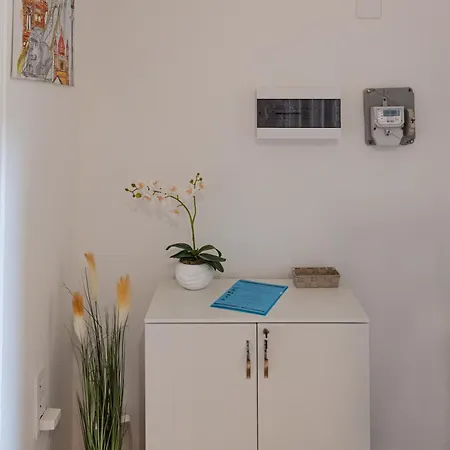 Viol בודפשט
