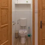 Viol Budapeszt