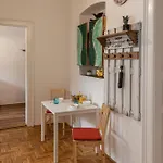 Viol * Budapeszt